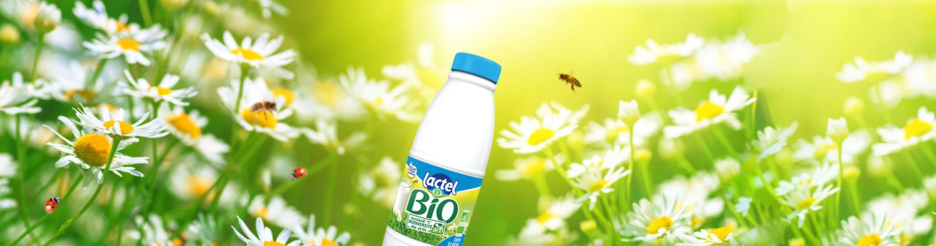 Image bouteille Homepage V2