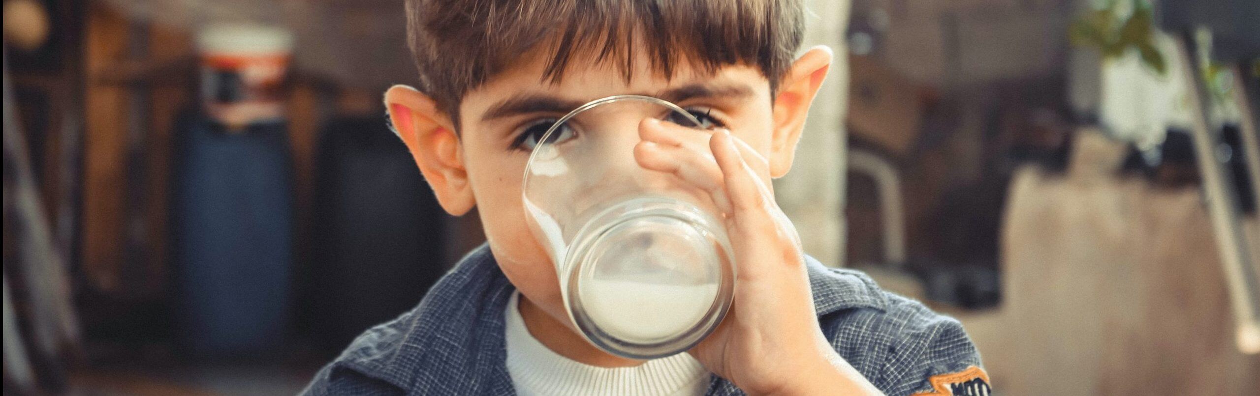 Banner Lait pasteurisé