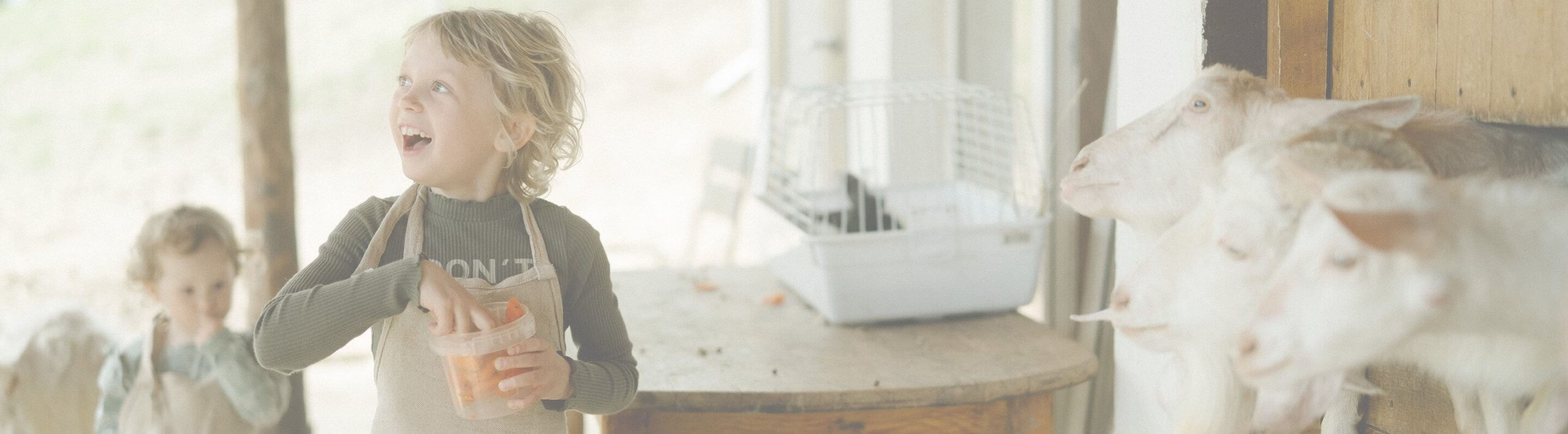 Banner lait de chevre