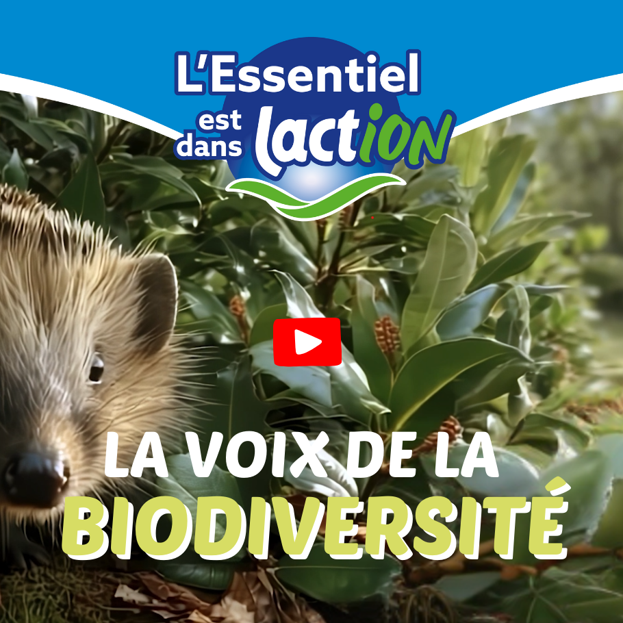 Biodiversité - encart