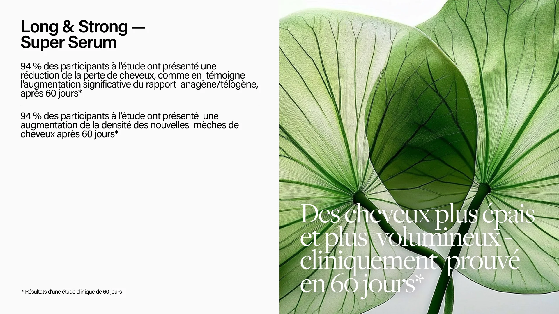 Keune Hair Cosmetics