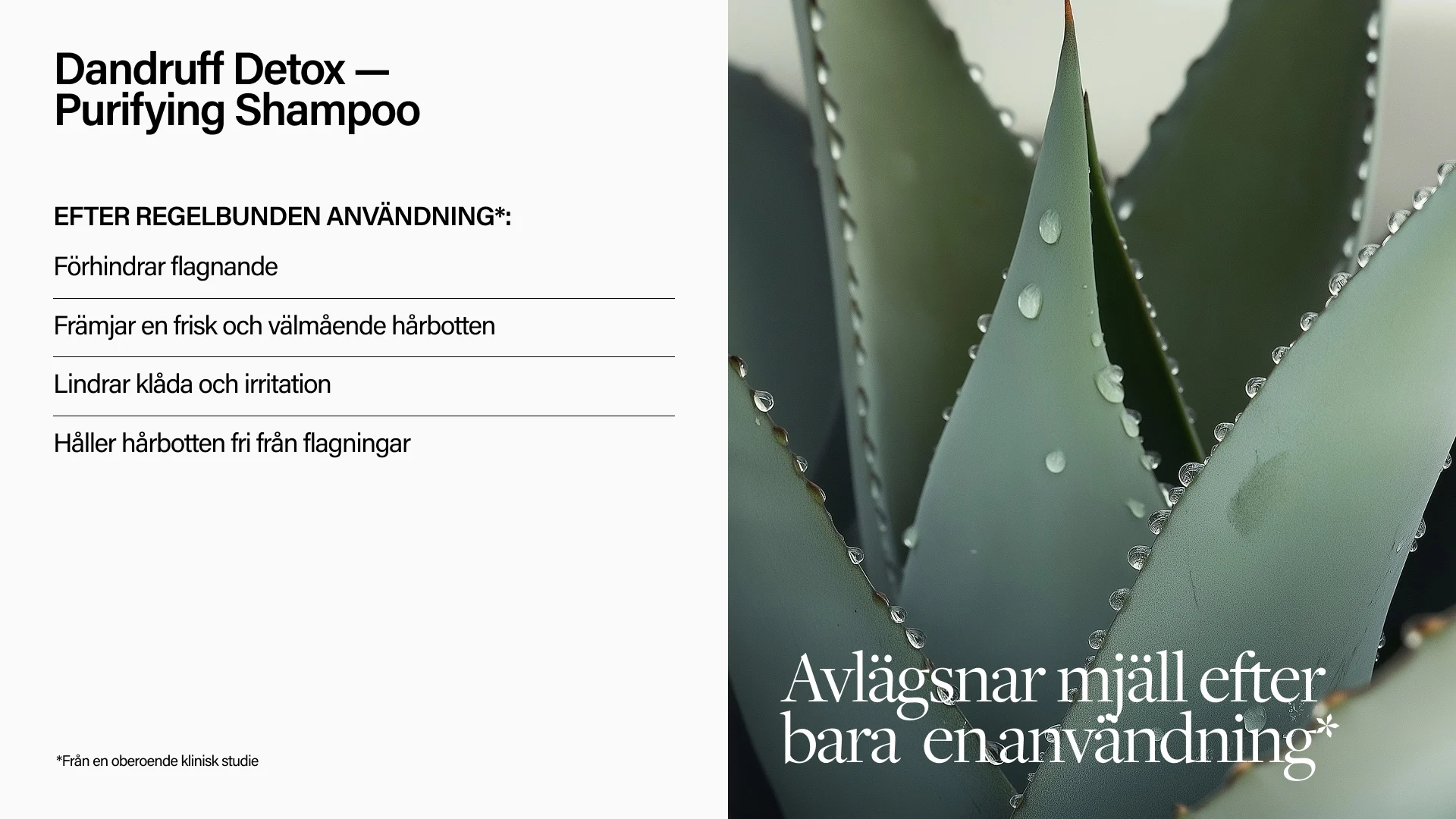 Keune Hair Cosmetics