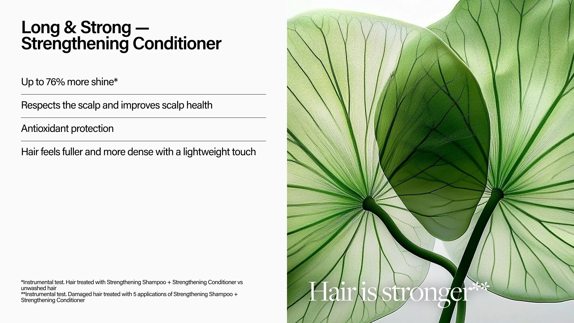 Keune Hair Cosmetics