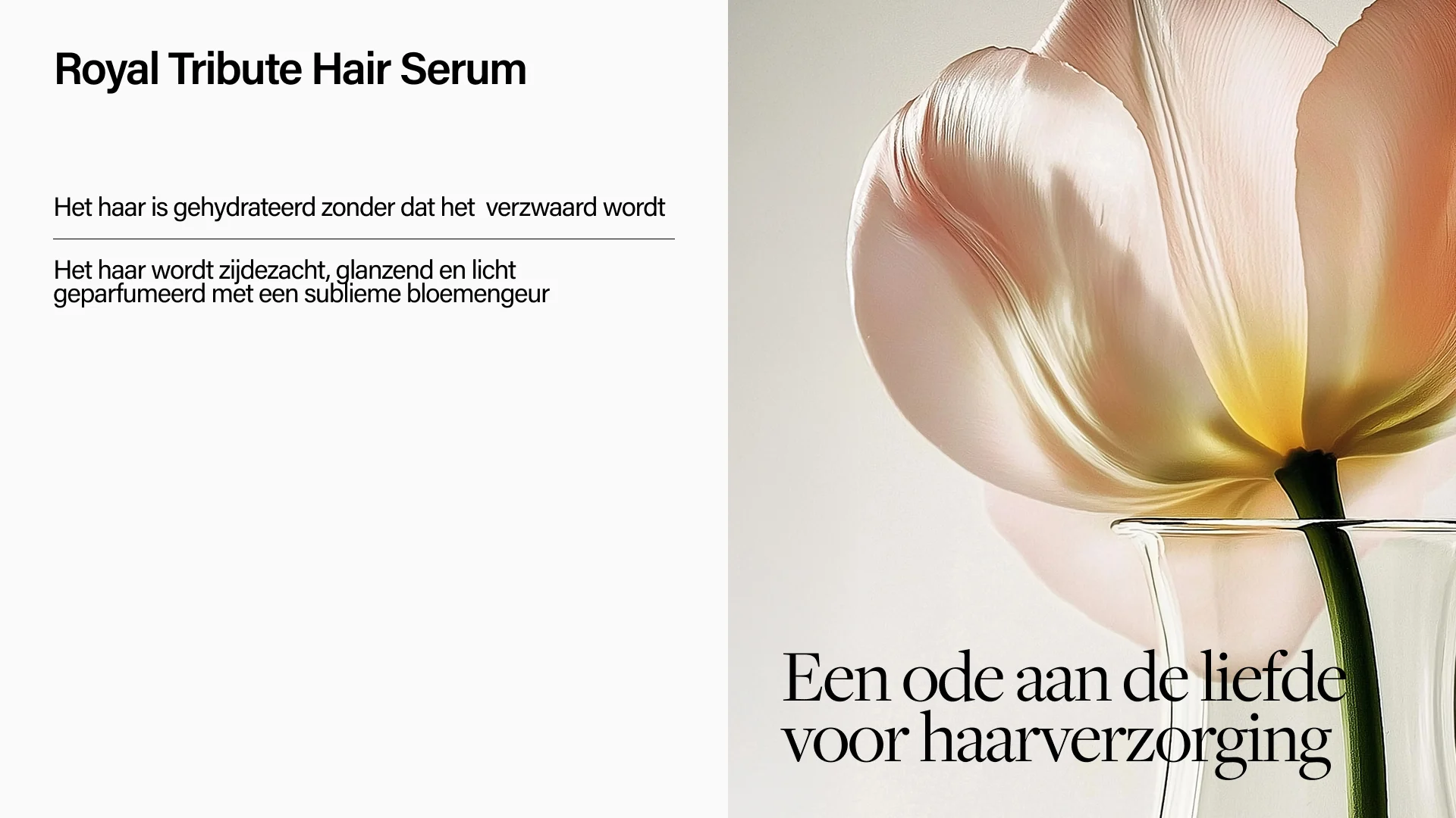 Keune Hair Cosmetics