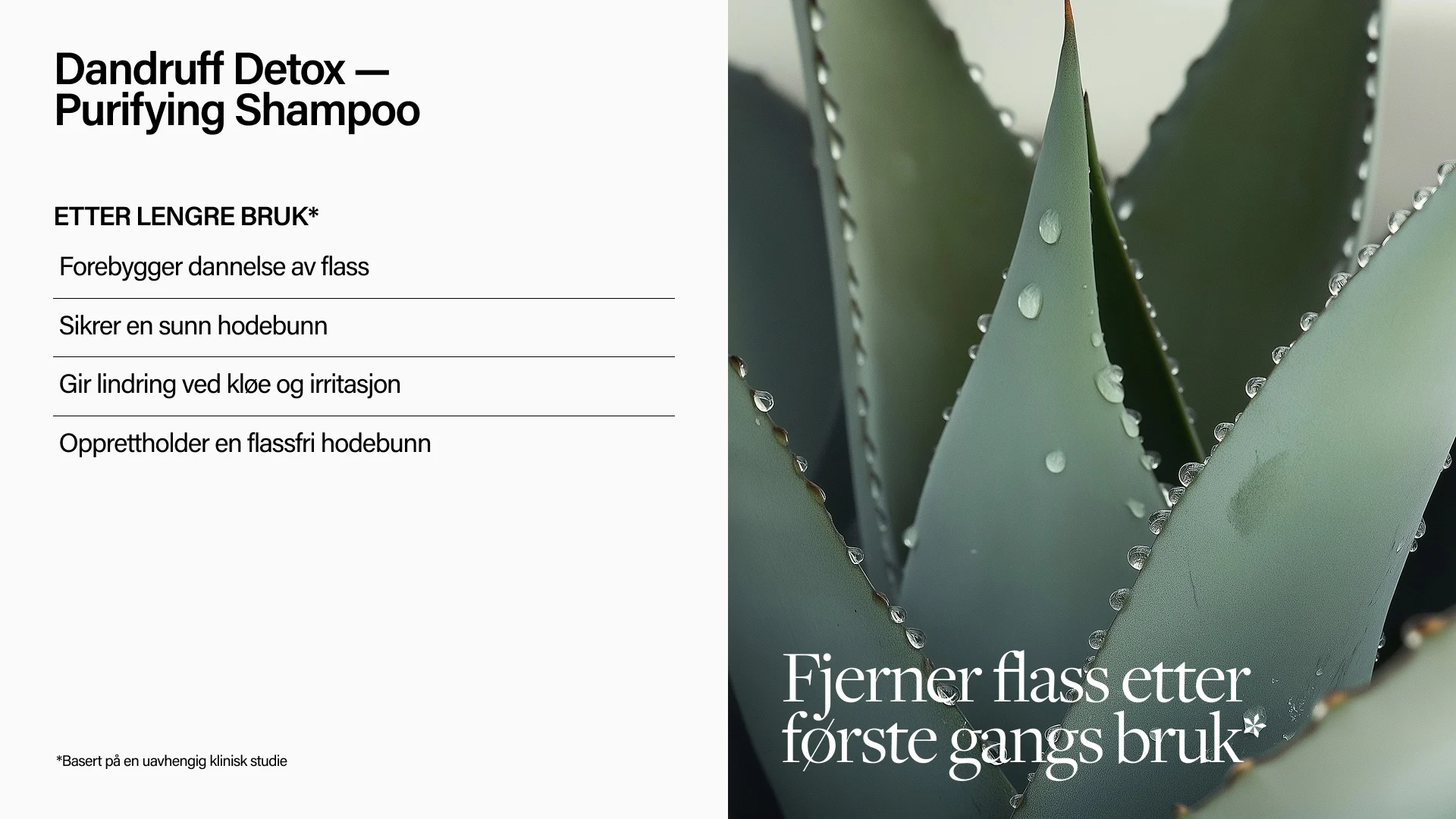 Keune Hair Cosmetics