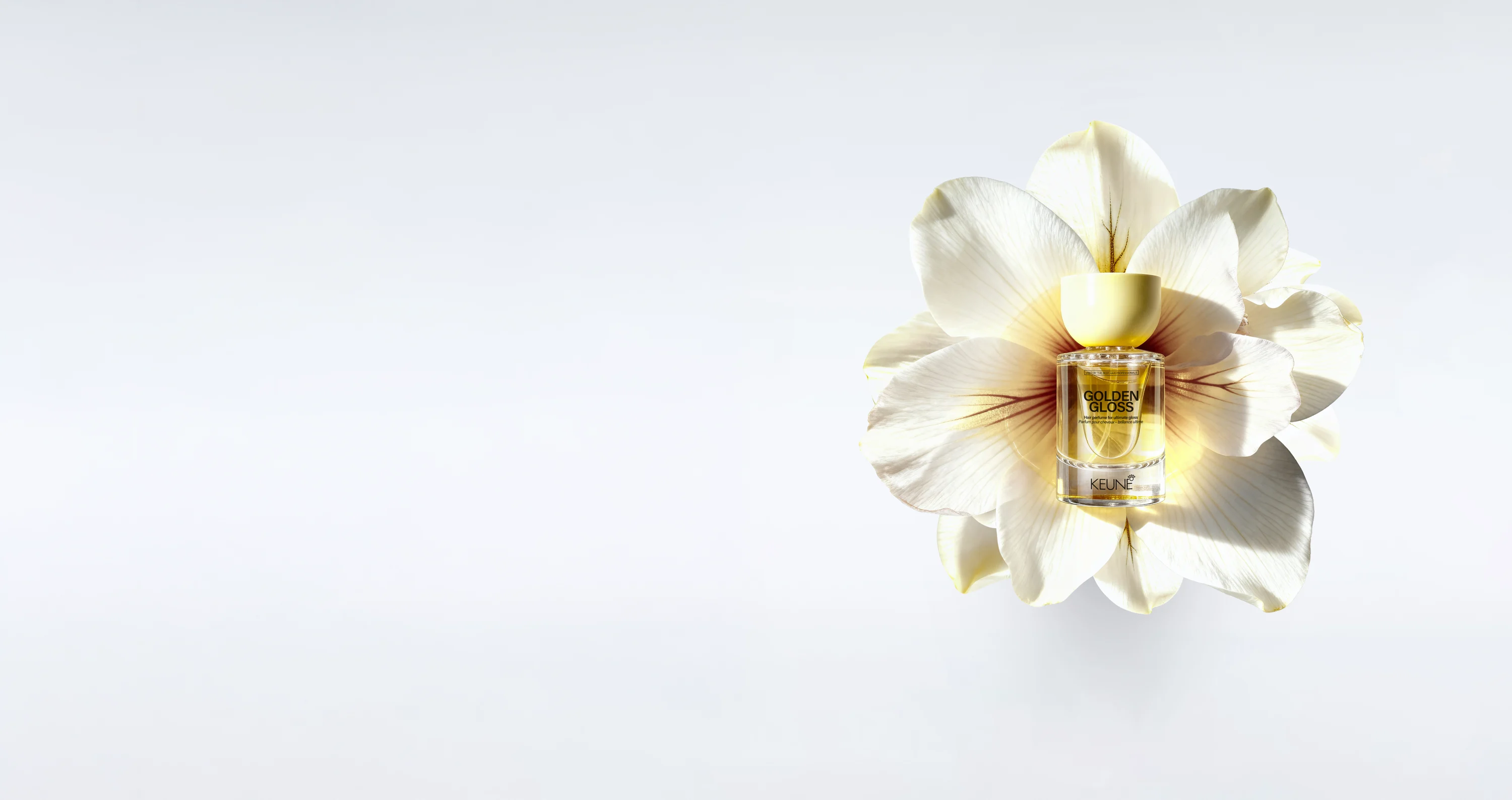 Keune Hair Cosmetics