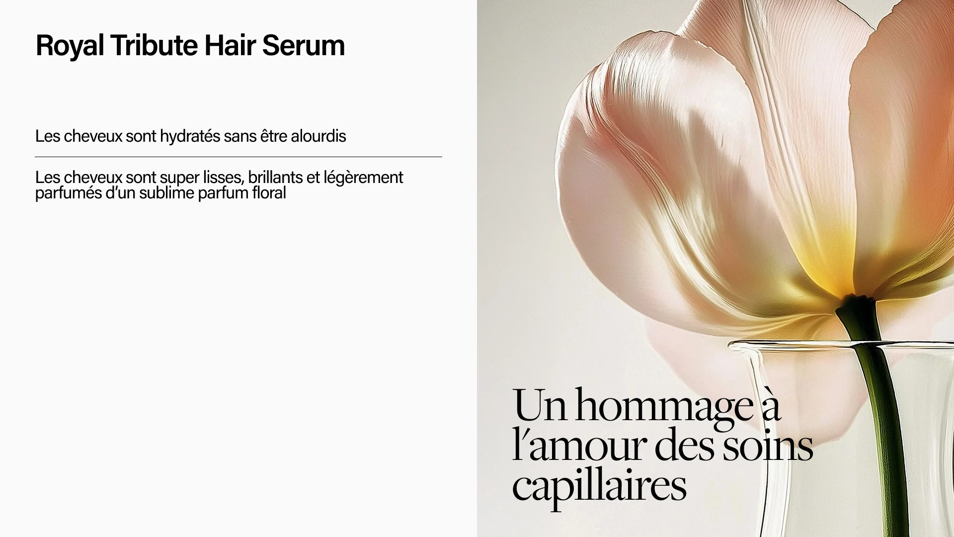 Keune Hair Cosmetics