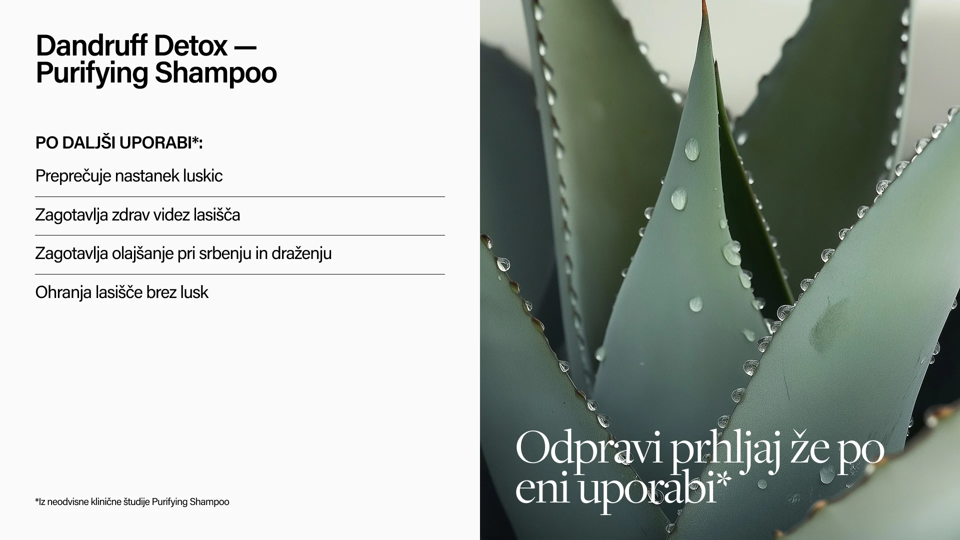 Keune Hair Cosmetics