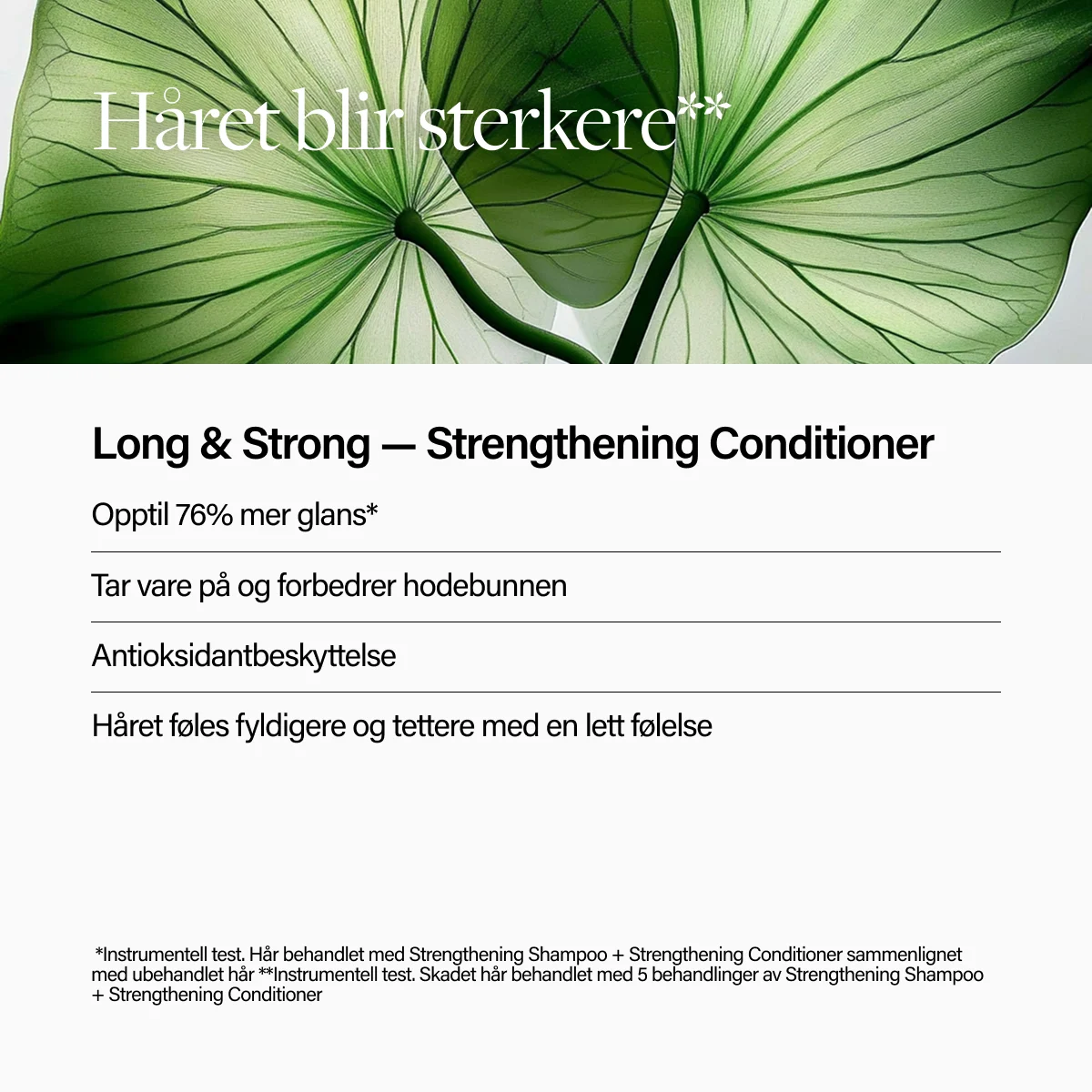 Keune Hair Cosmetics