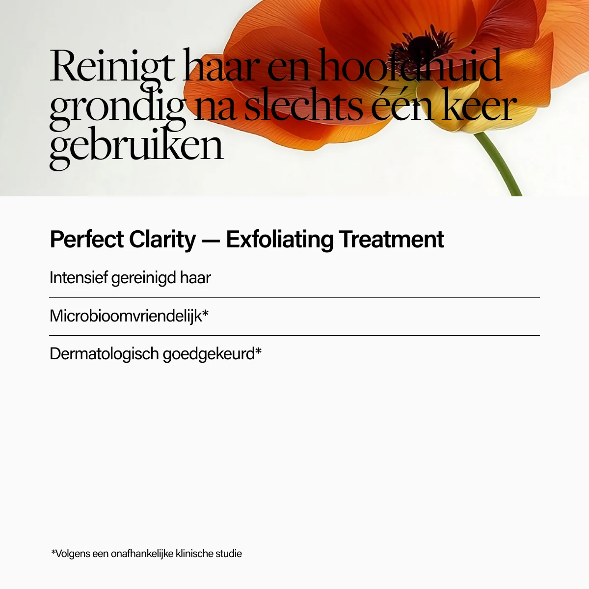 Keune Hair Cosmetics