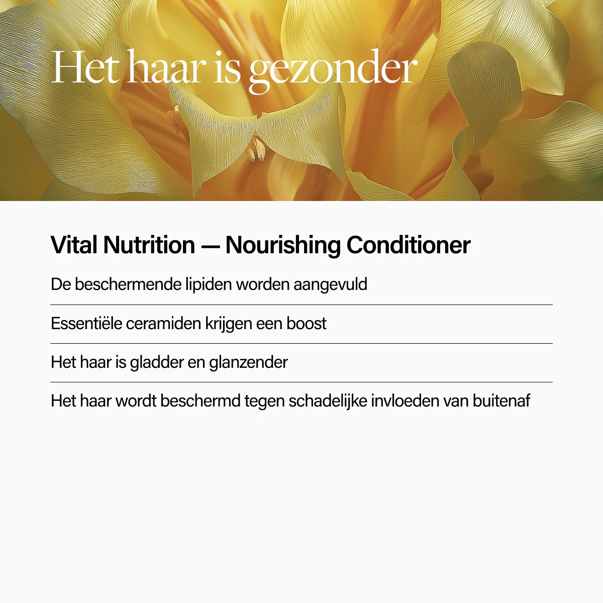 Keune Hair Cosmetics