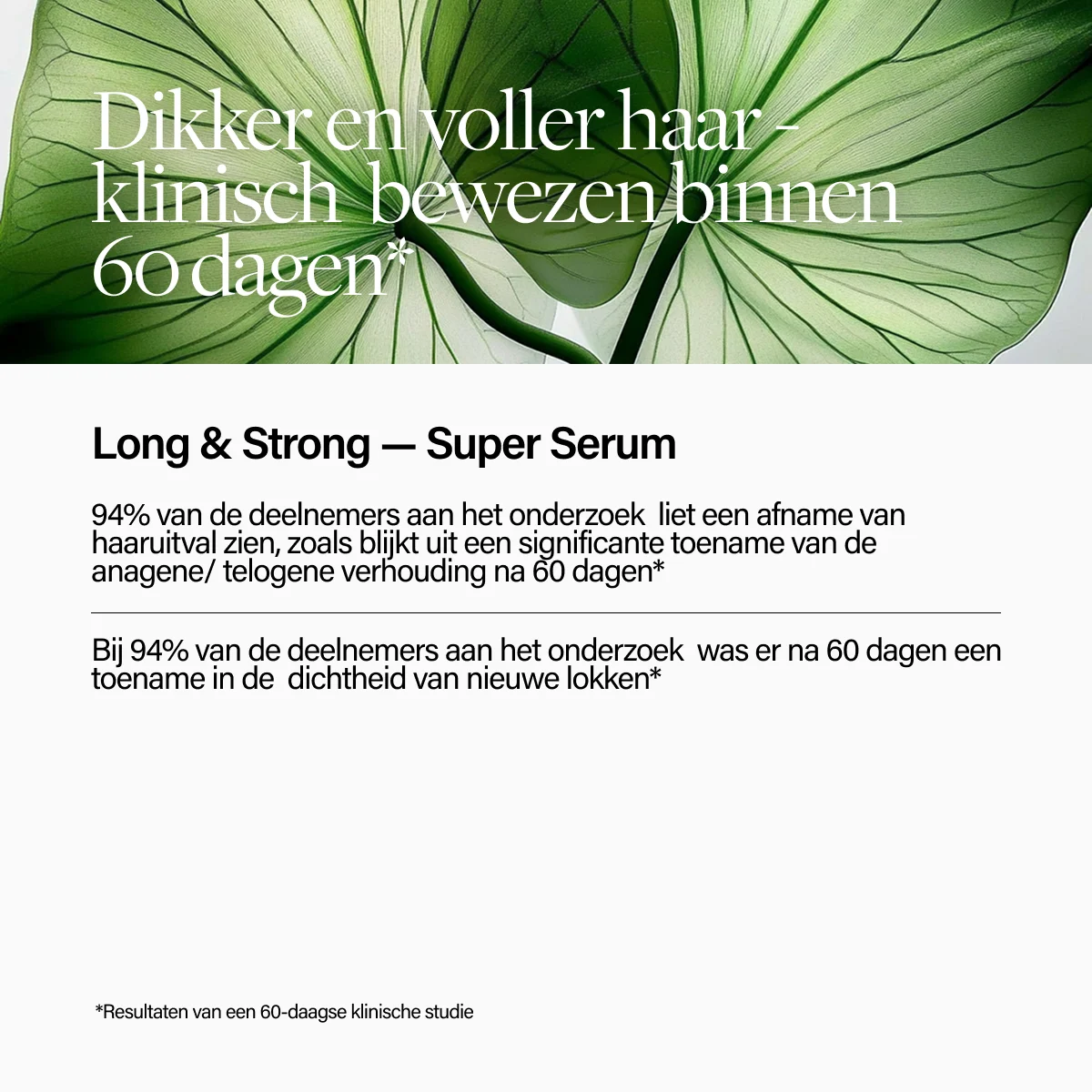 Keune Hair Cosmetics