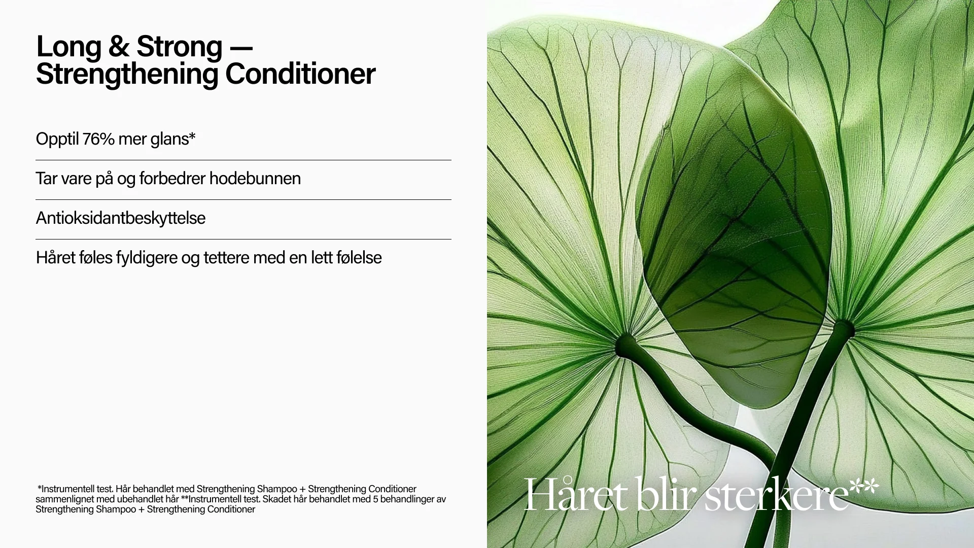 Keune Hair Cosmetics