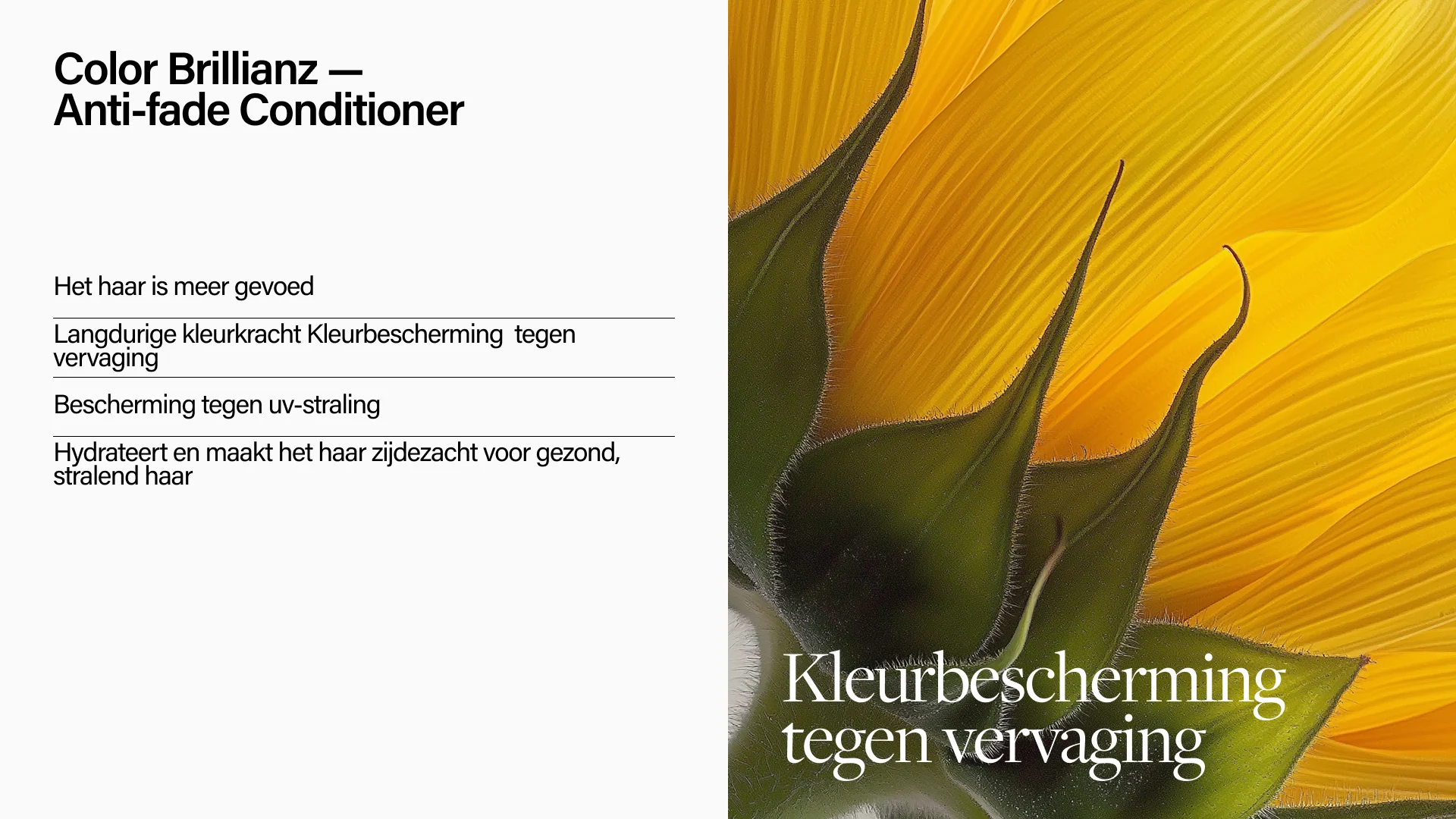 Keune Hair Cosmetics
