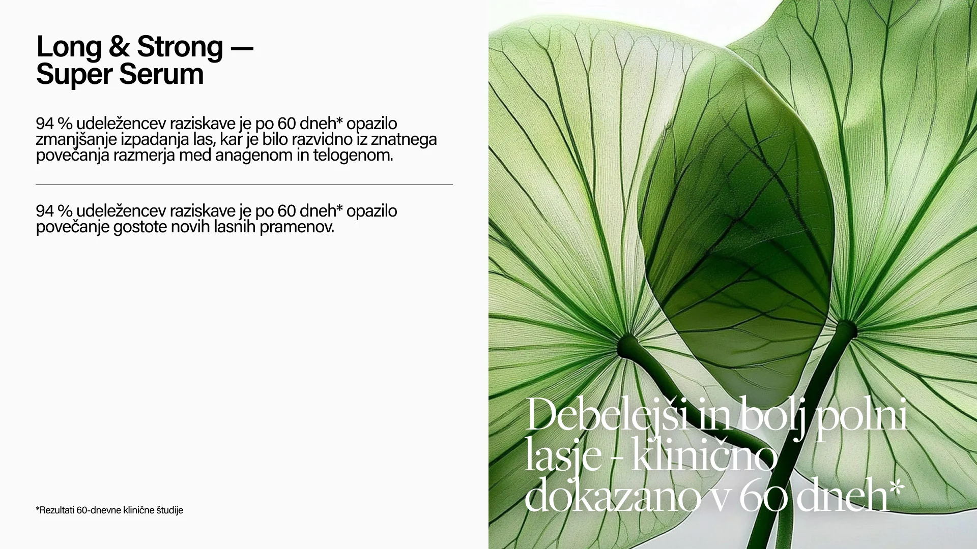 Keune Hair Cosmetics