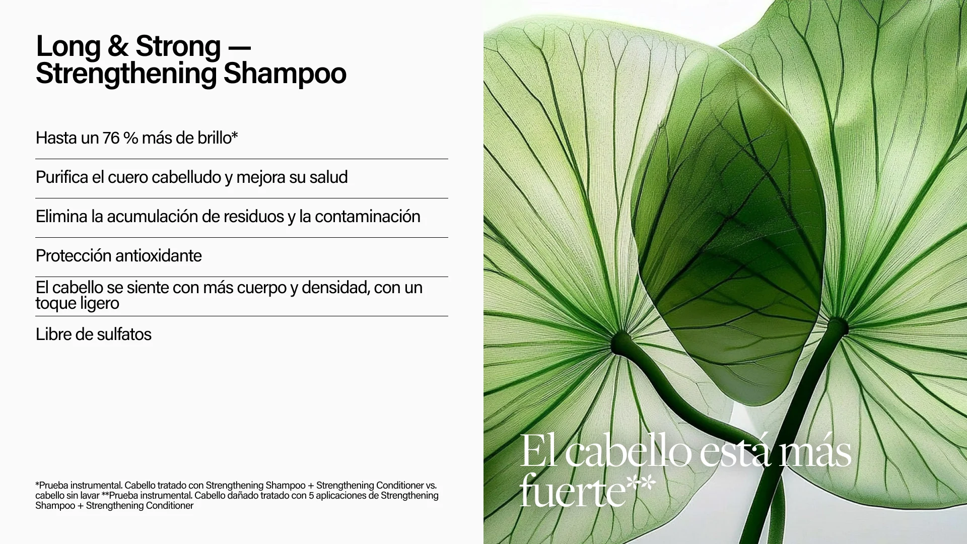 Keune Hair Cosmetics