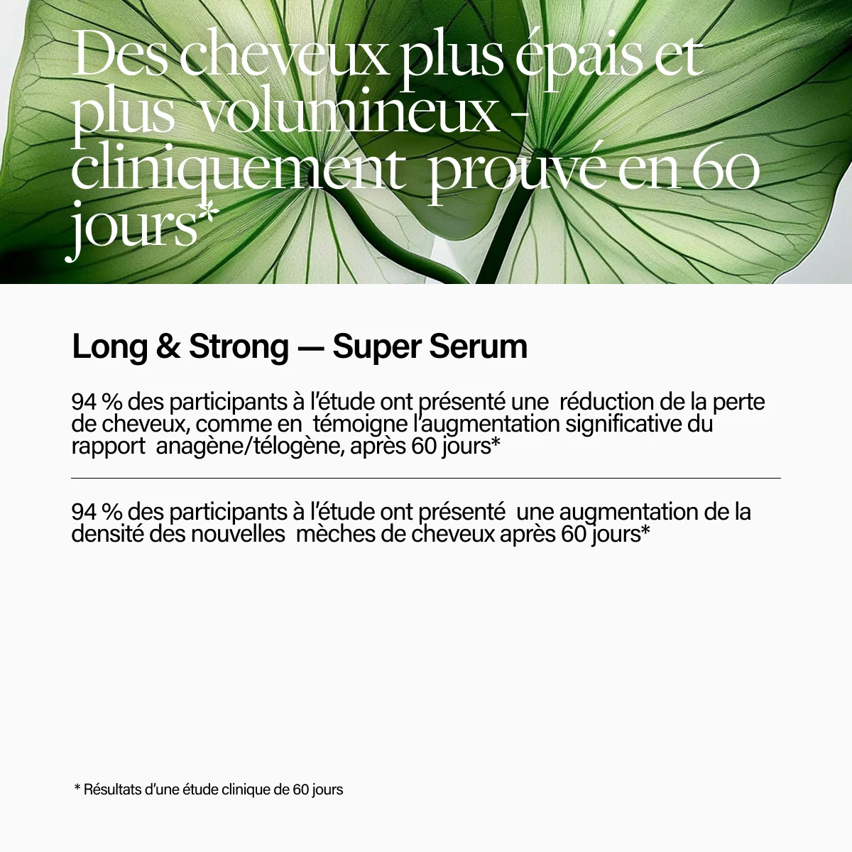 Keune Hair Cosmetics