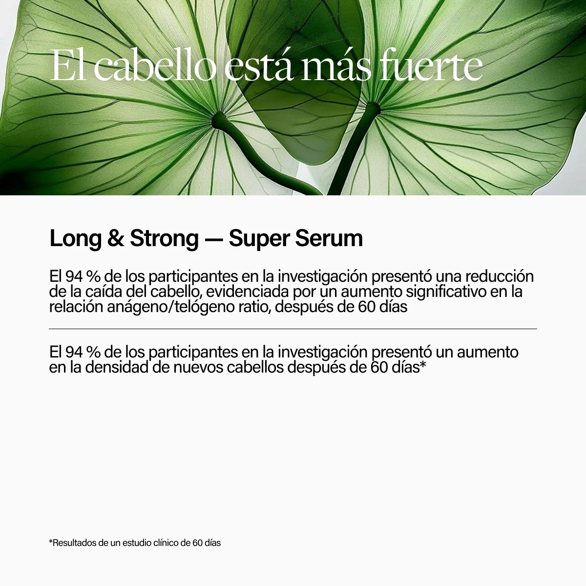 Keune Hair Cosmetics