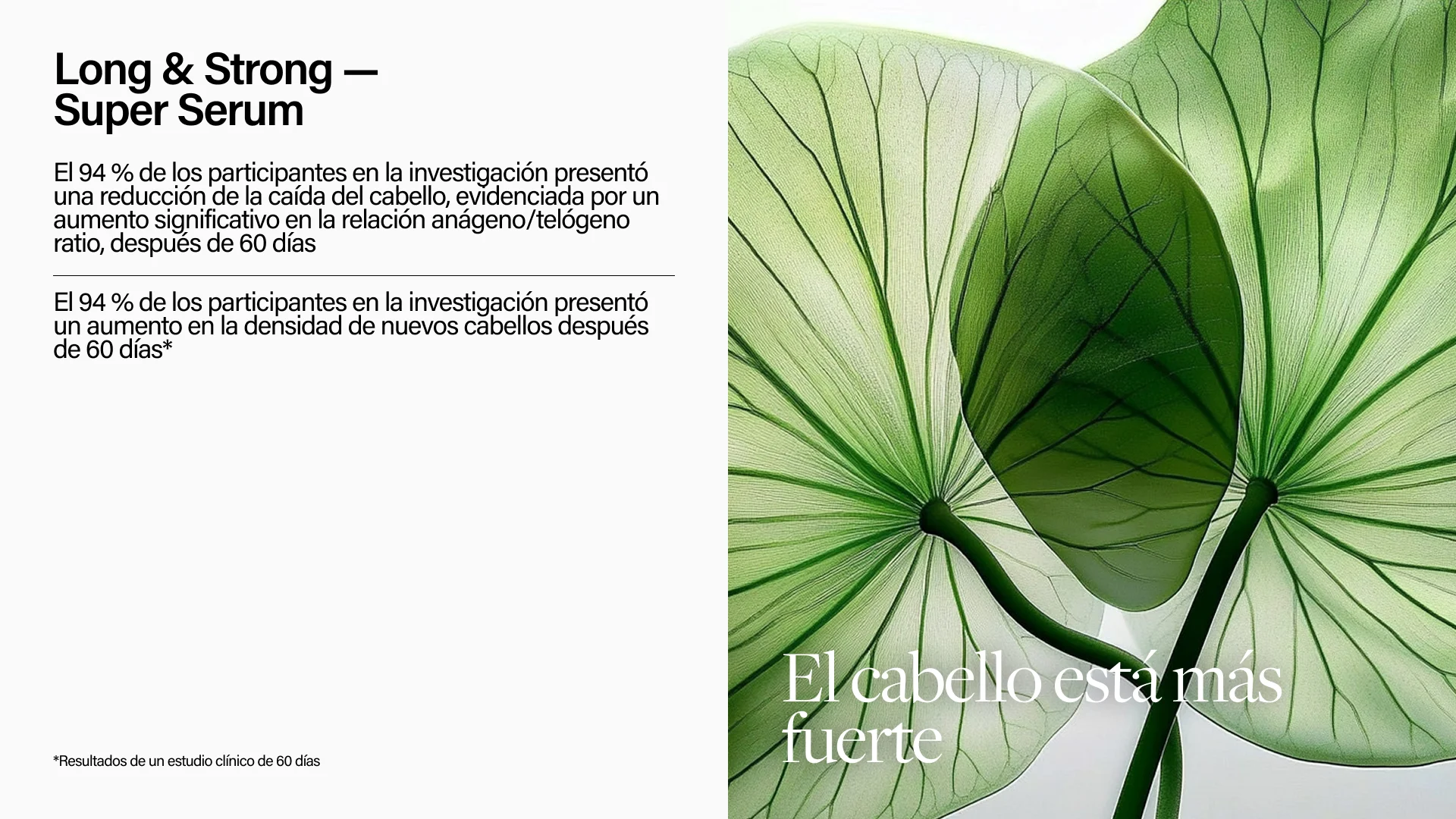 Keune Hair Cosmetics