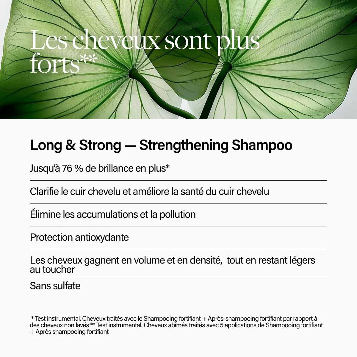 Keune Hair Cosmetics