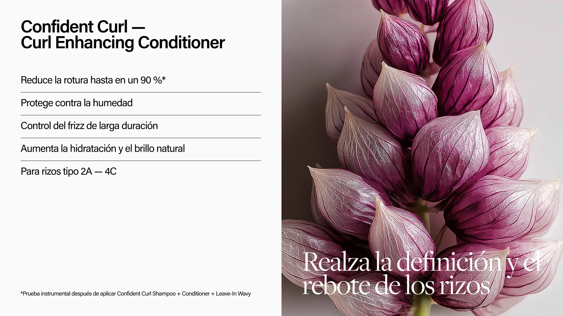 Keune Hair Cosmetics