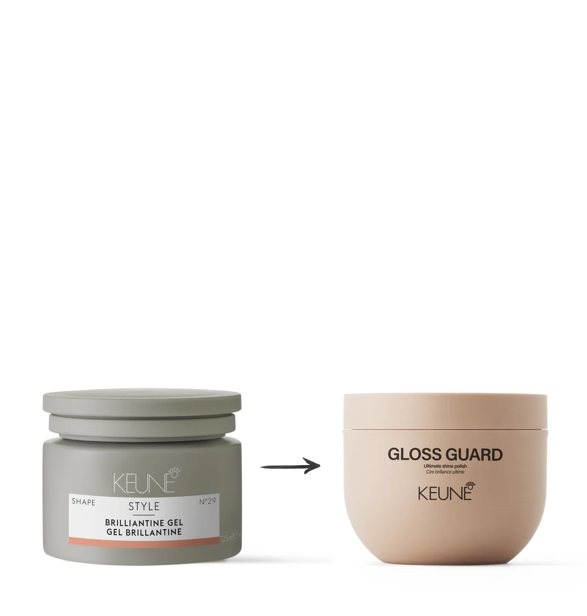 Image of replacing product Gloss Guard