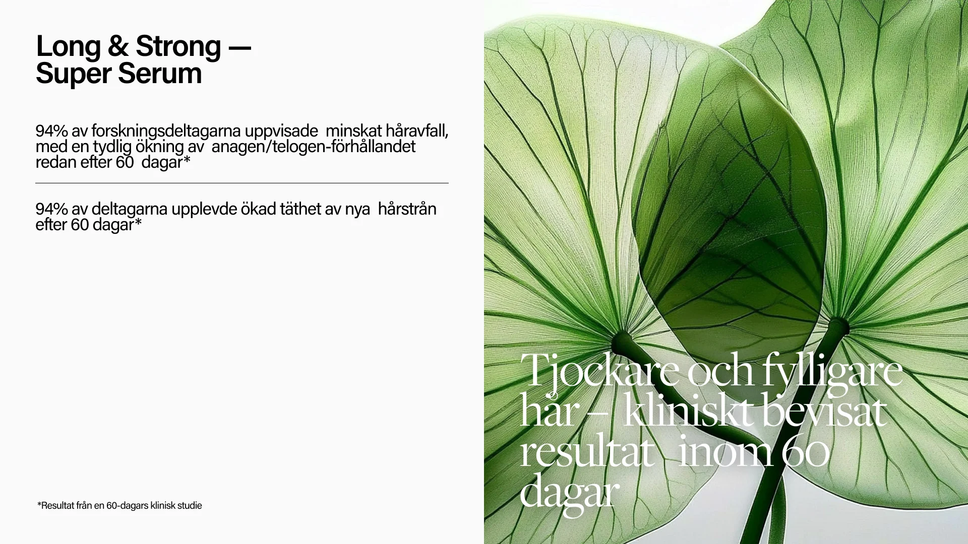 Keune Hair Cosmetics