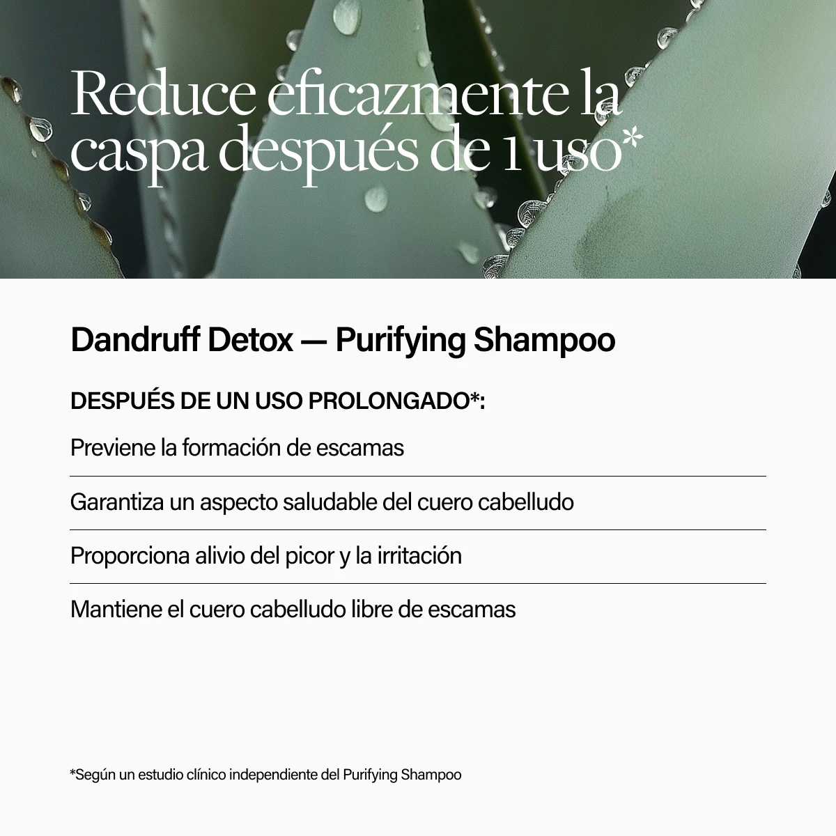 Keune Hair Cosmetics