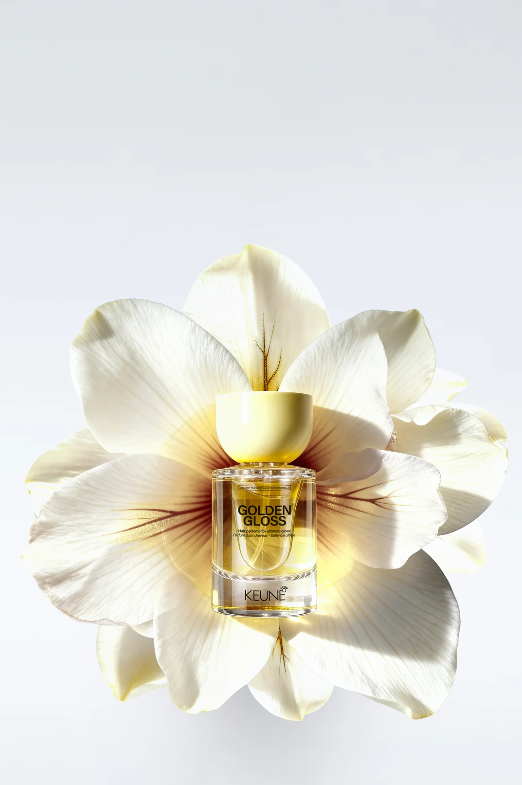 Keune Hair Cosmetics
