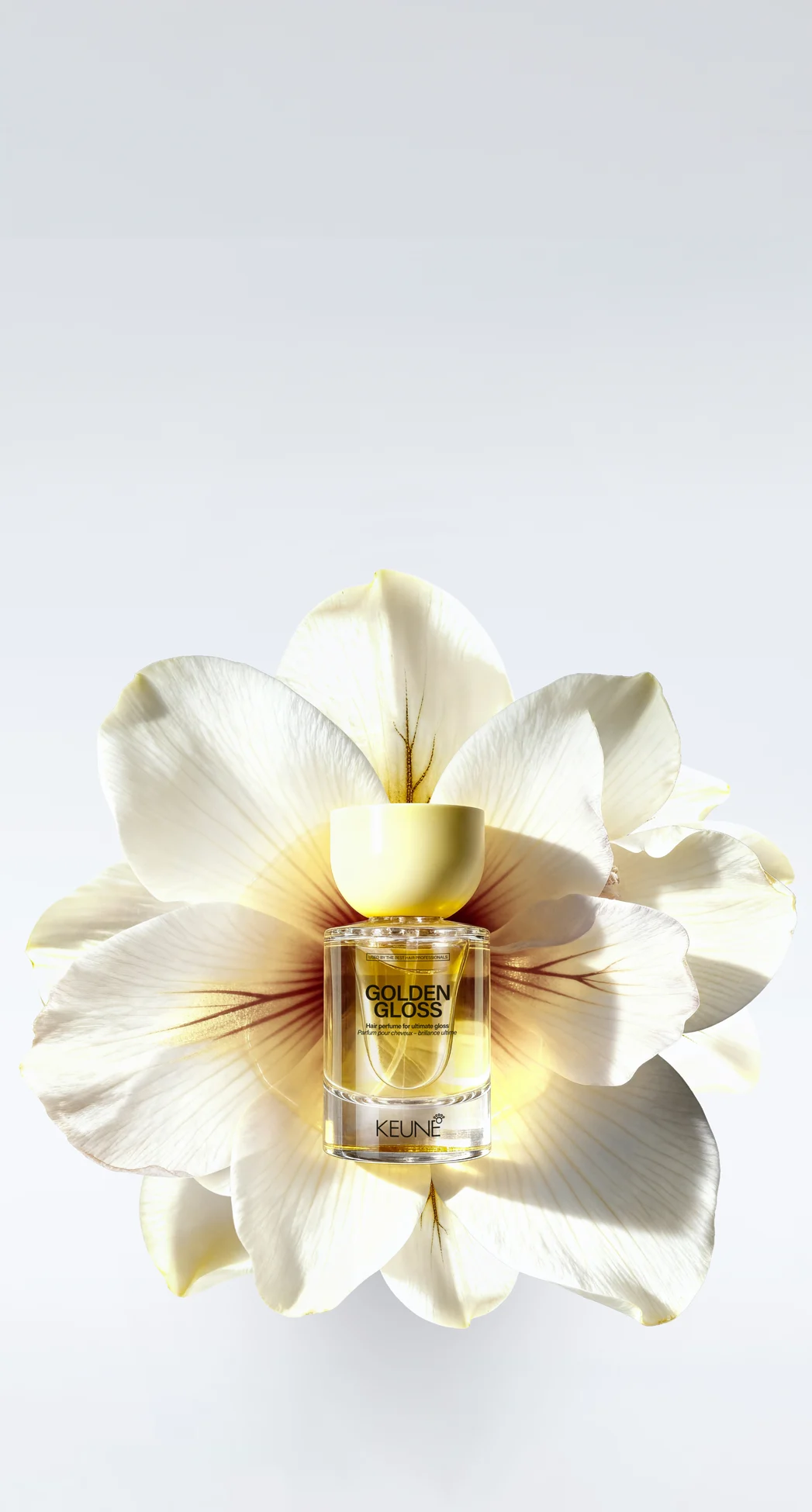 Keune Hair Cosmetics