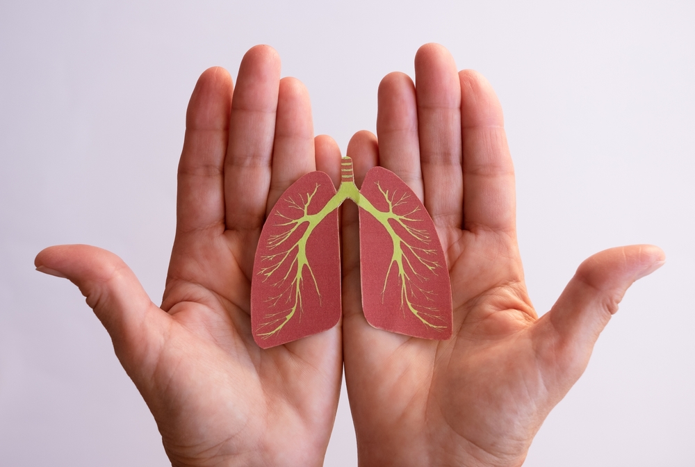 Hands holding a cardboard cut-out of lungs.