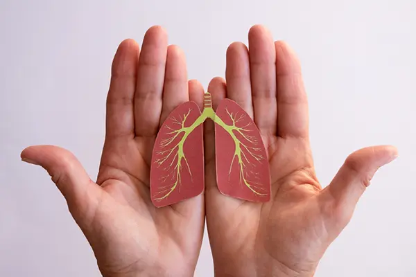 Hands holding a cardboard cut-out of lungs.