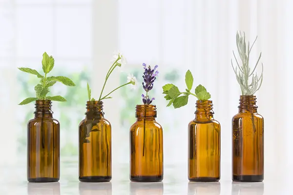 5 bottles with herbs and flowers sticking out of them, representing essential oils.