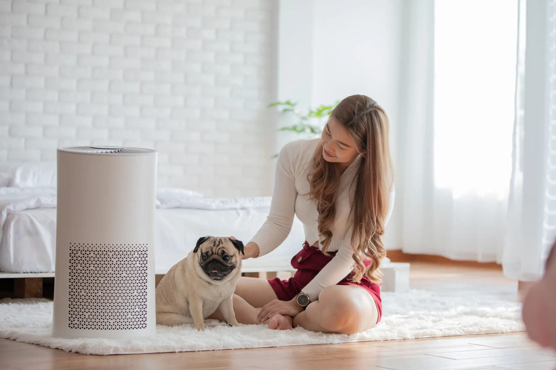 Woman with a long sleeve shirt on is petting her dog and sitting next to an air purifier.