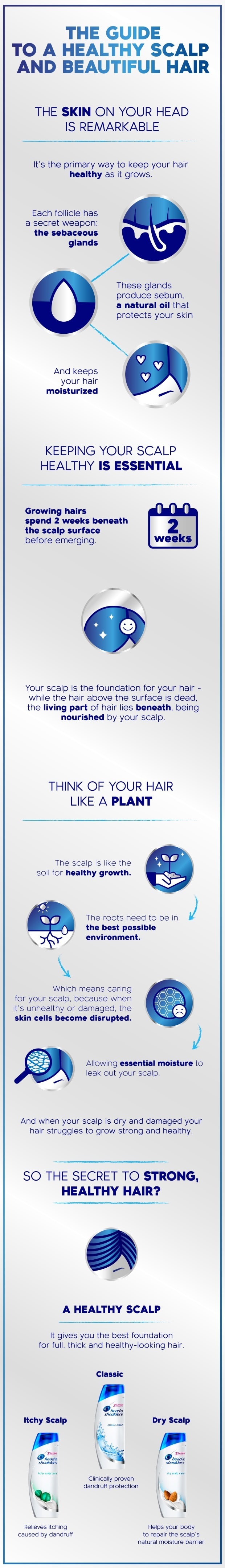 THE GUIDE TO A HEALTHY SCALP AND BEAUTIFUL HAIR