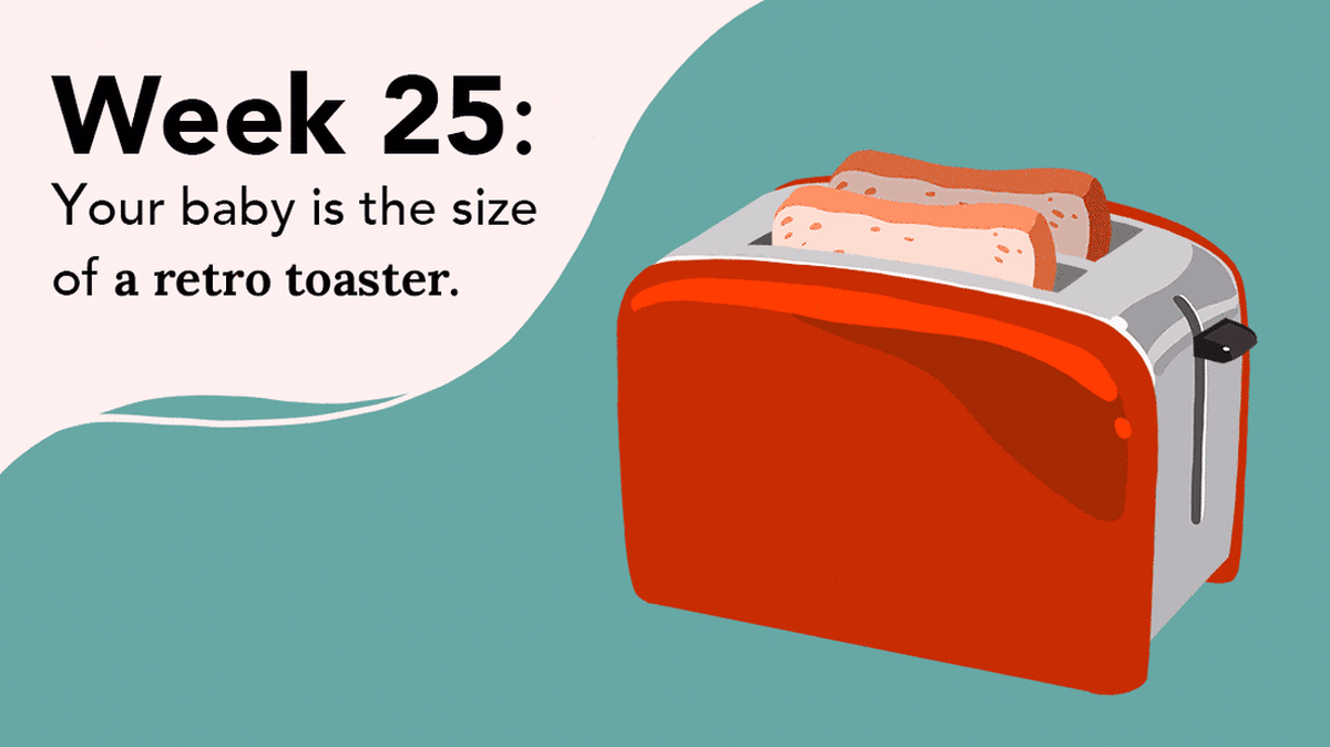 Your Pregnancy Week 25
