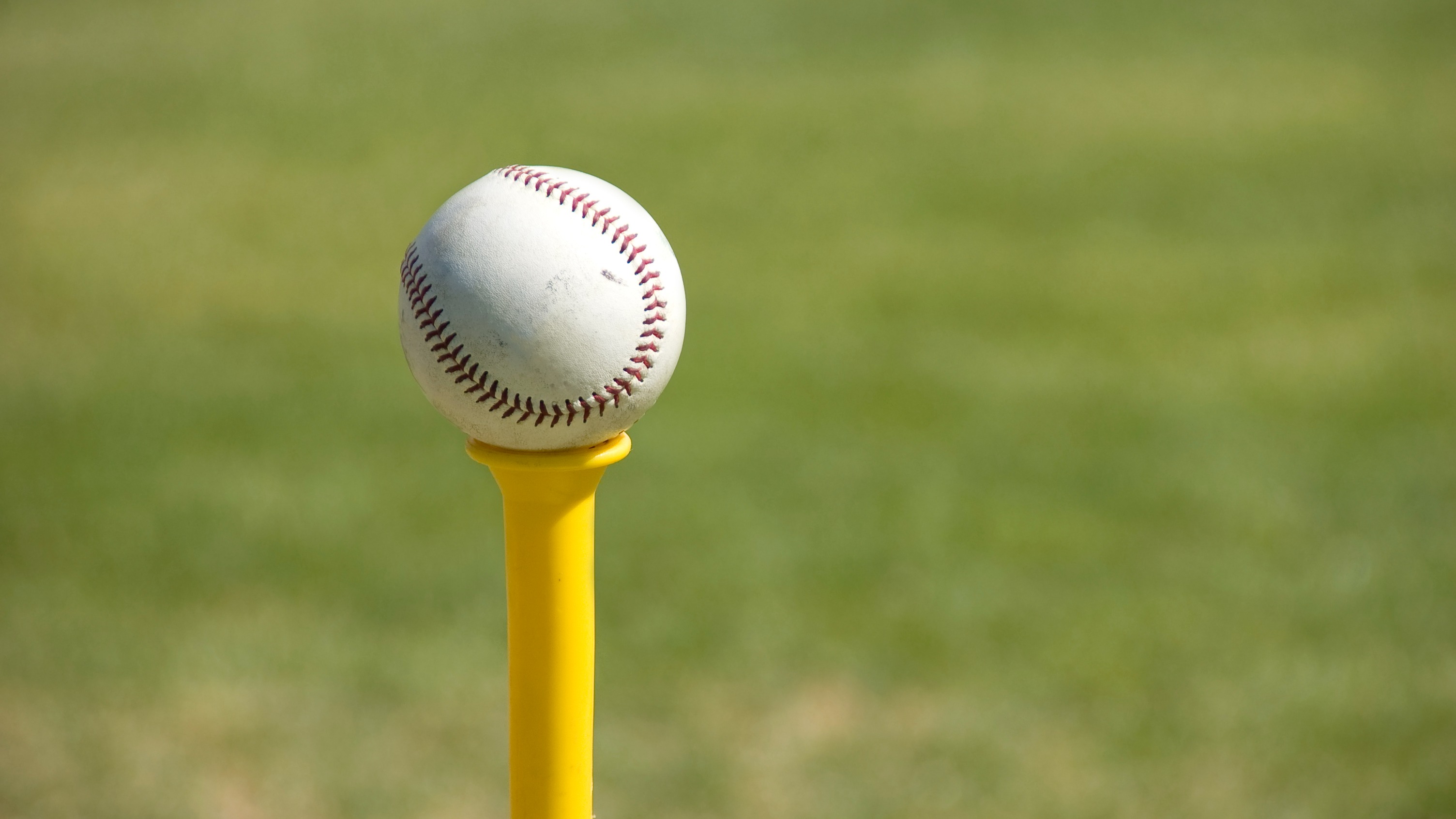 6YearOld Girl Outruns Little Boys While Stopping To Do a Cartwheel