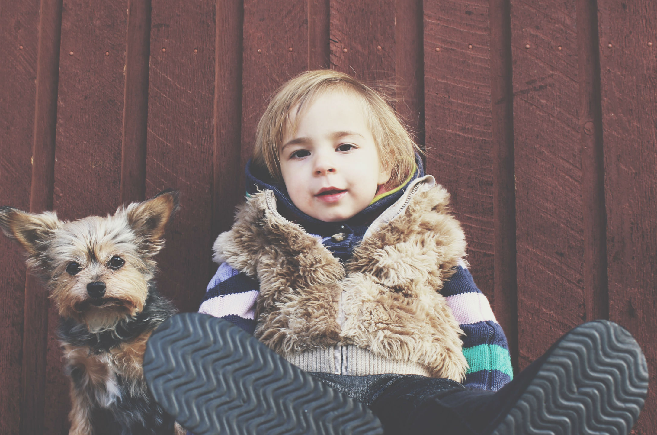 worst dog breeds for autism