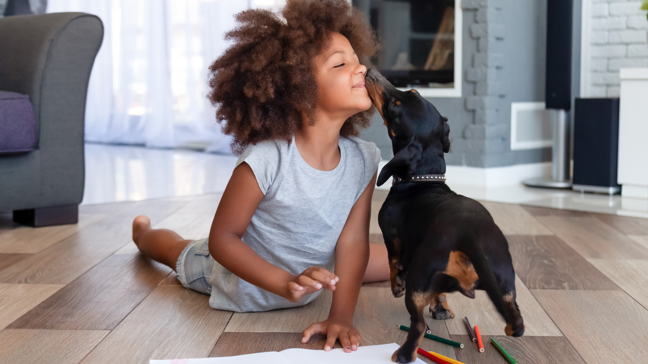 How to Groom and Care for Pets During the COVID19 Lockdown