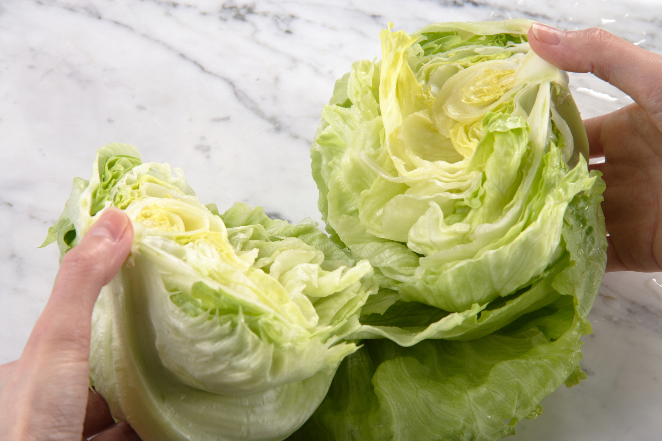 cabbage leaves