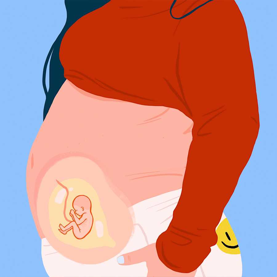 Your Pregnancy Week 18 Your Pregnancy Week 18