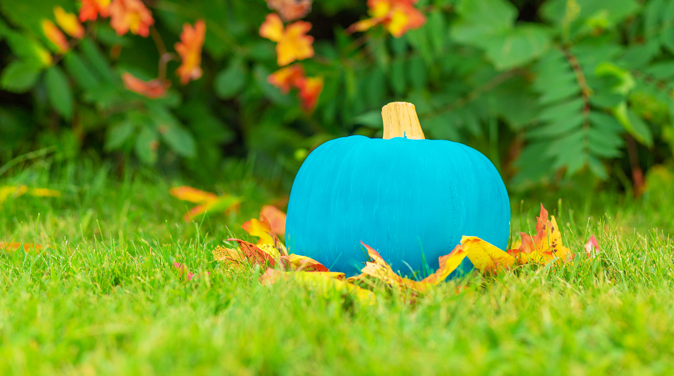teal-pumpkin-halloween-2