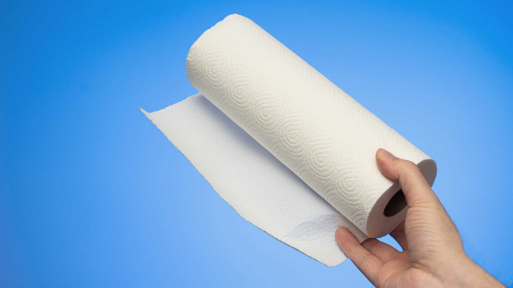 Yes, It's Totally Possible to Live Without Paper Towels