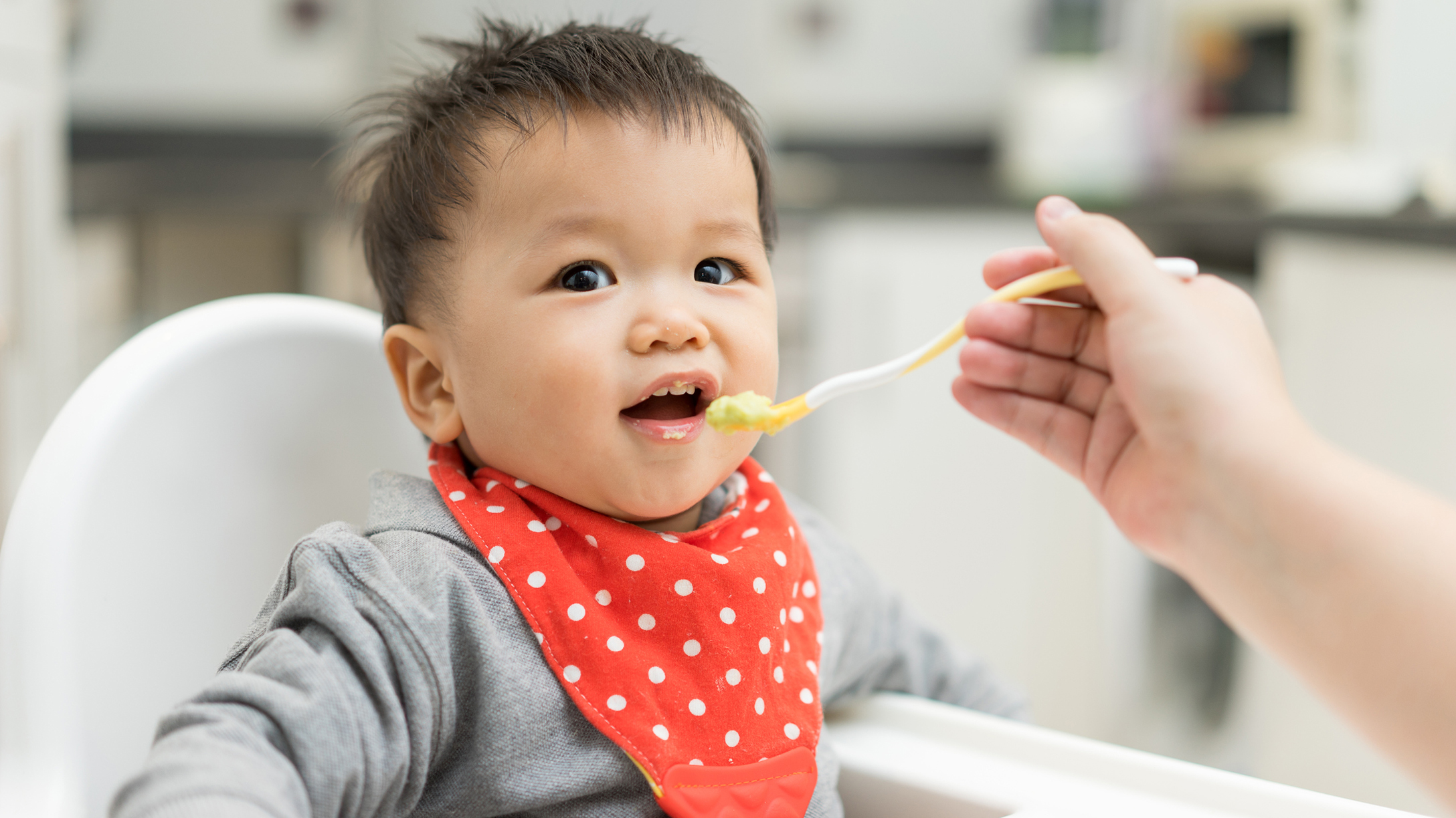 What Is the Best Organic Baby Food?