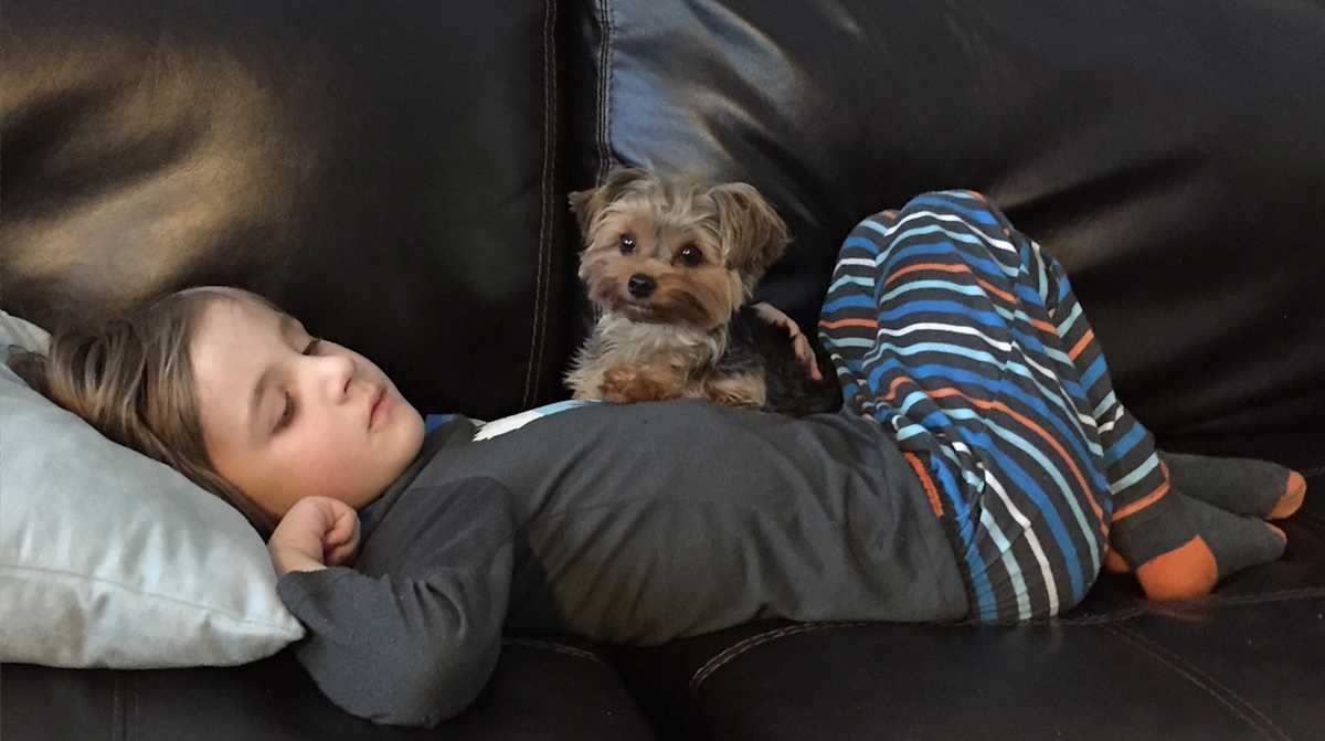 What To Do When Your Kid Throws Up | Mom.com