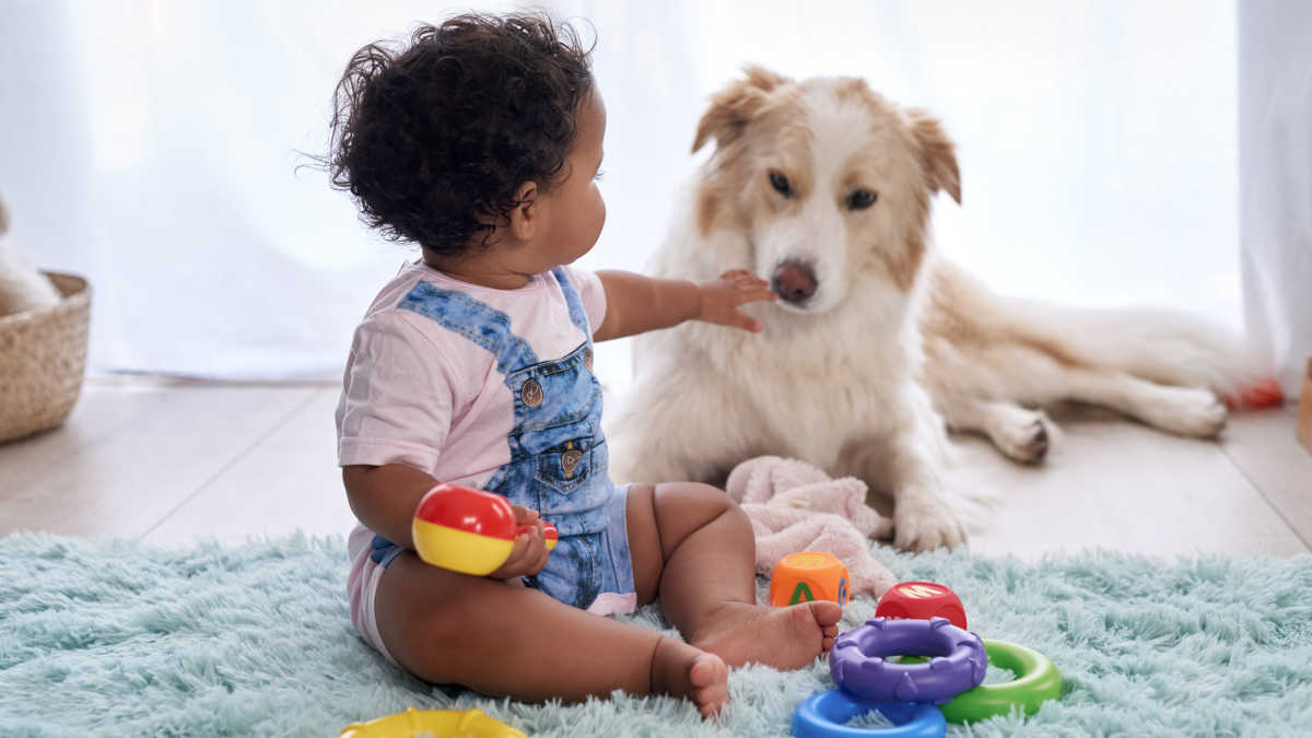 Best Pets for Kids and How To Choose Them | Mom.com