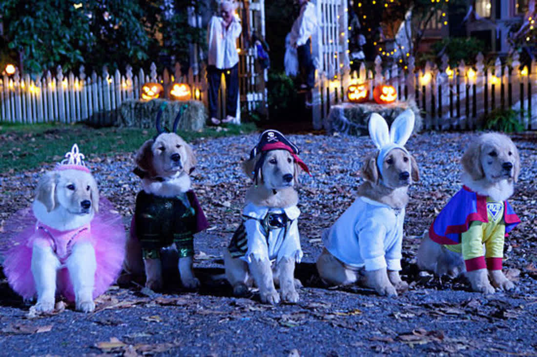spookybuddies-cropped spookybuddies-cropped
