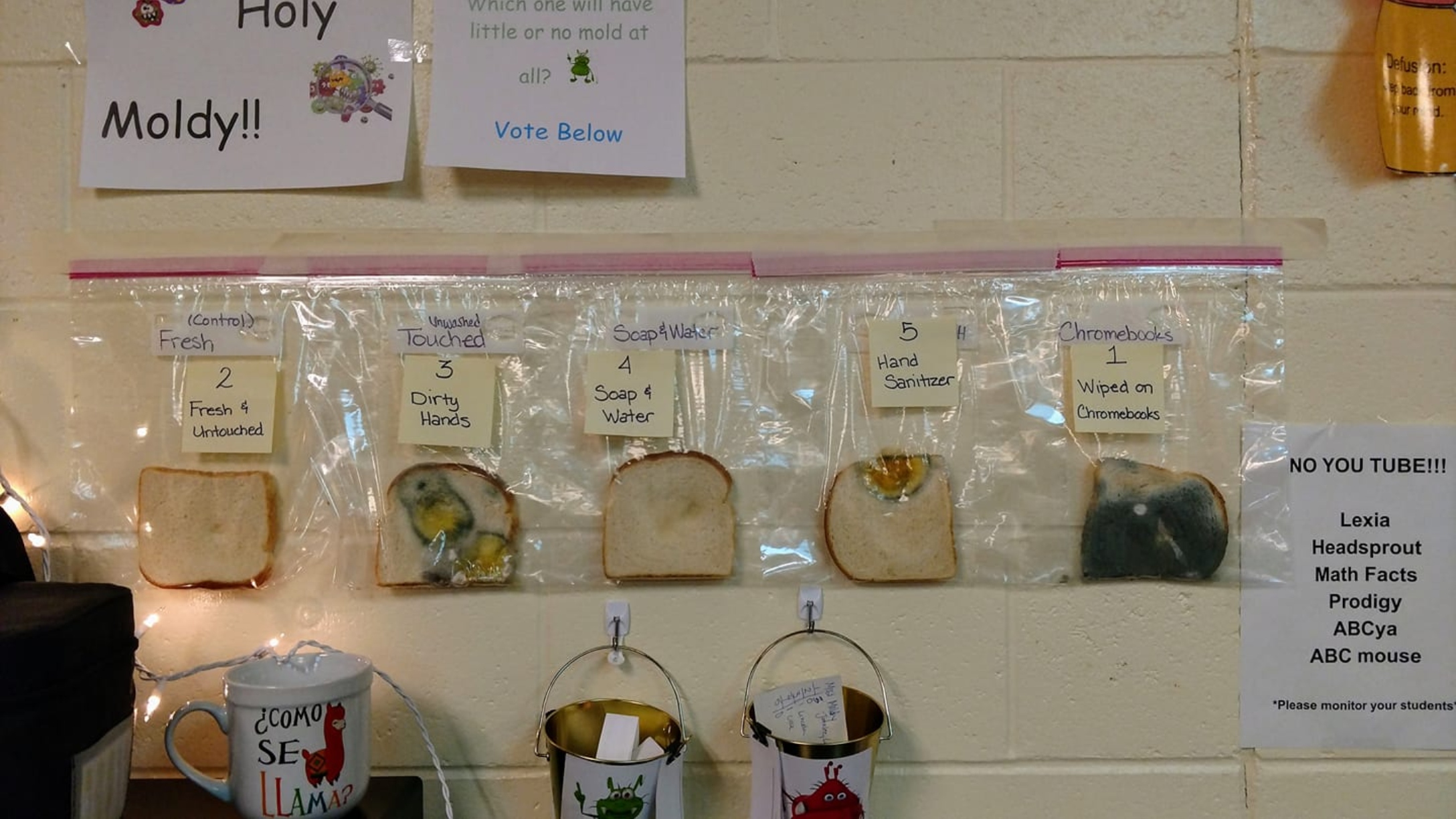 Teacher's Sandwich Bread Experiment Reminds Us All Why We Need to Wash