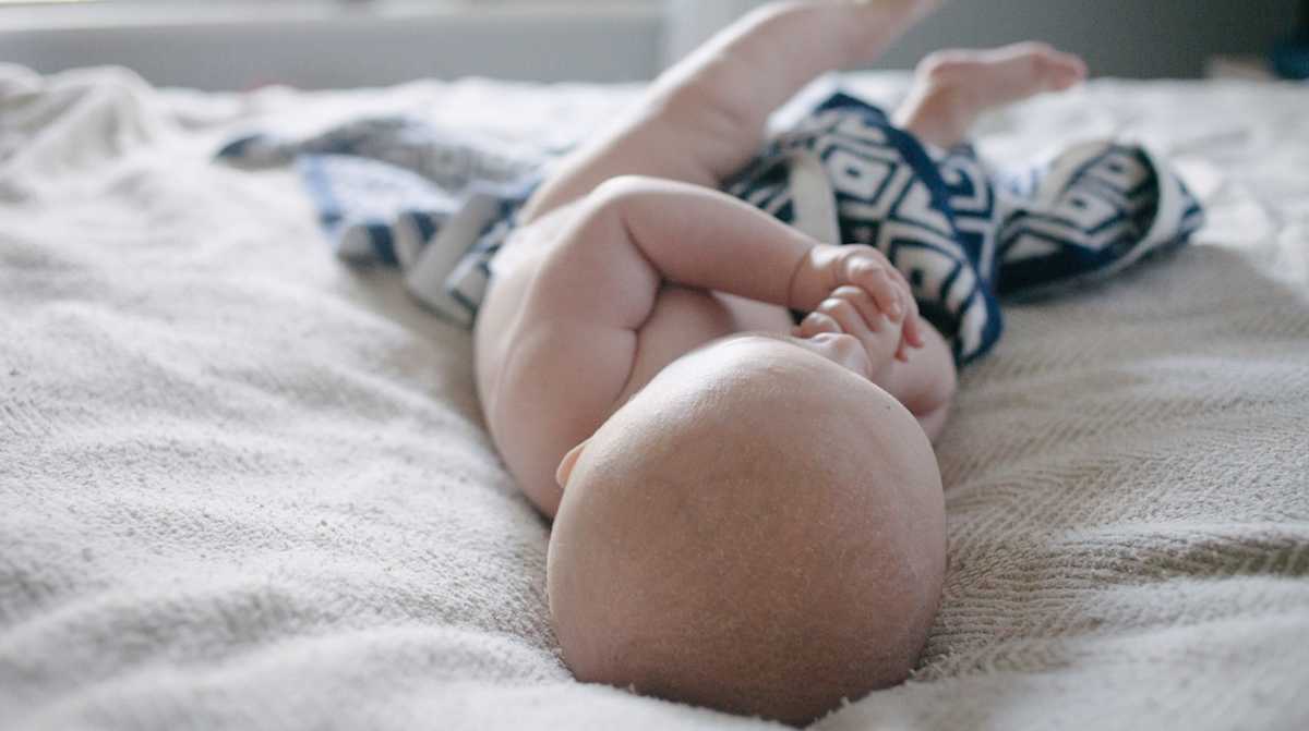 fontanel-1 fontanel-1