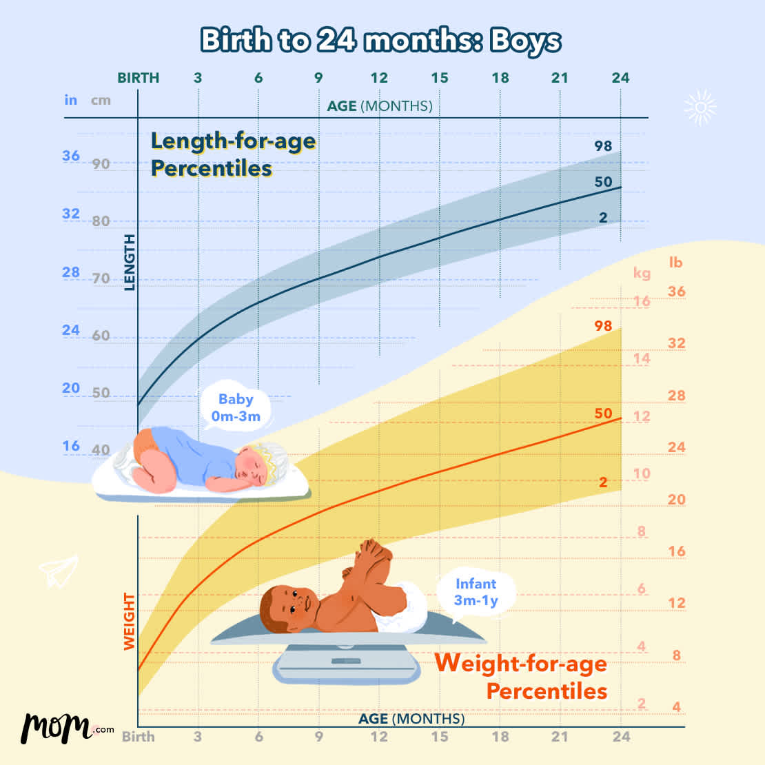 Child 2024 weight percentile